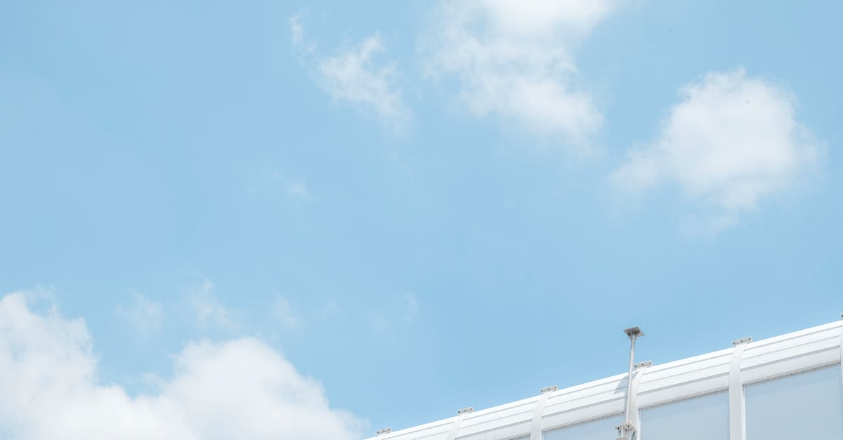 长江时代实名账号：洛阳肉鸽购买平台