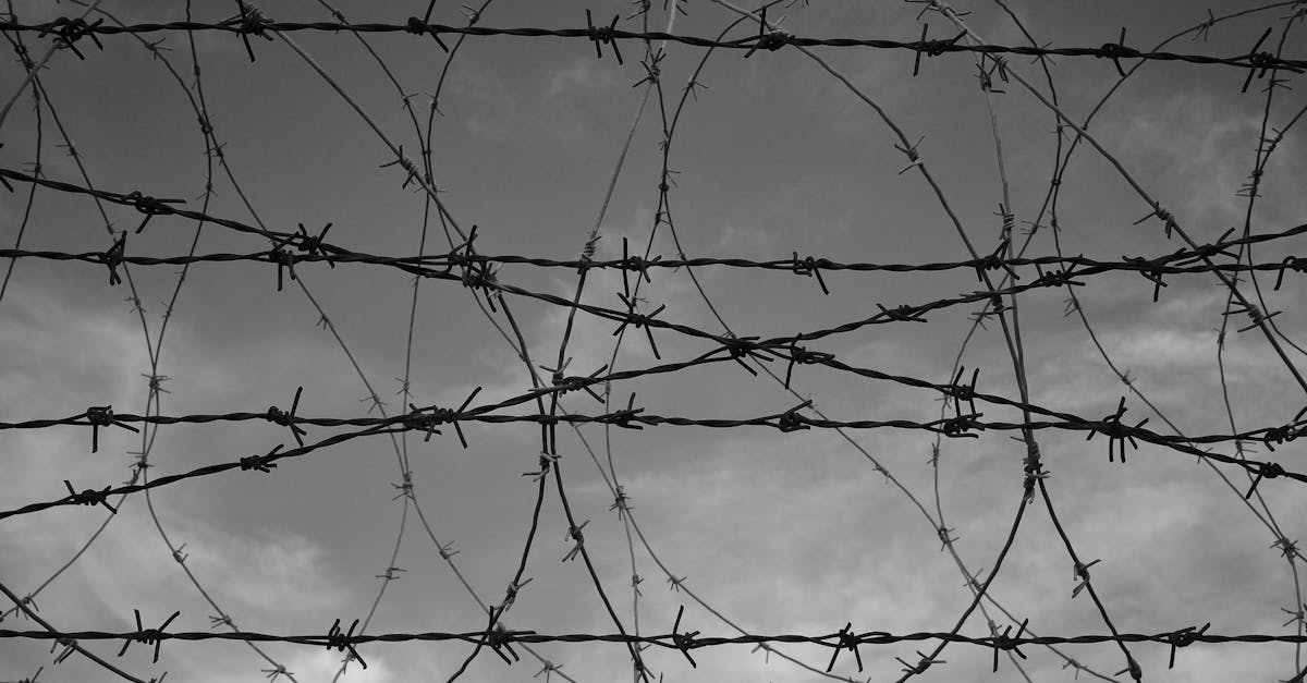 博悦娱乐,注册|如何利用艺术营销提升企业品牌价值