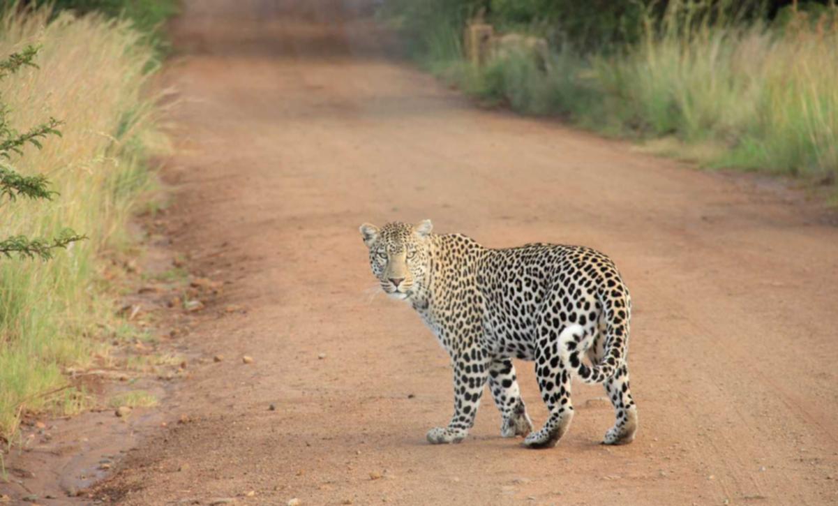 【自动化-送服务器】SSPanel-Metron 星舰系统舞台