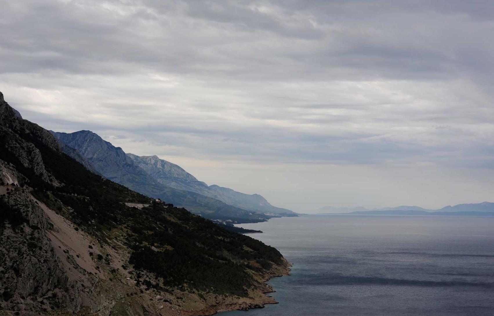DDOS网页端平台|深圳期货开户哪个平台好
