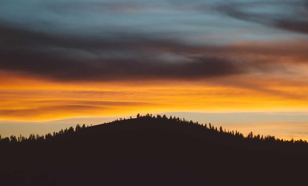 小鸟云实名账号:福州礼物购买平台