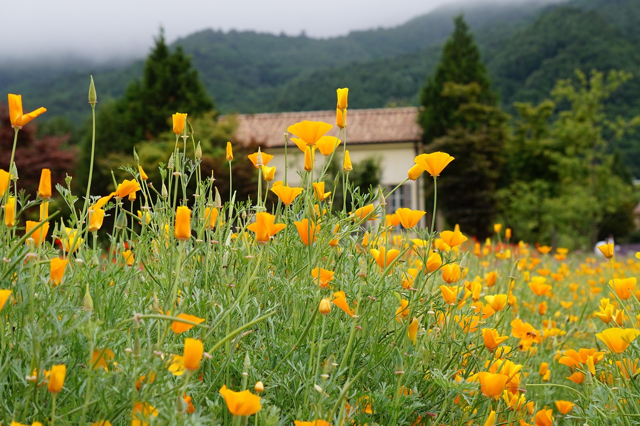 支付宝实名认证:保宝网手机app详情下载教程