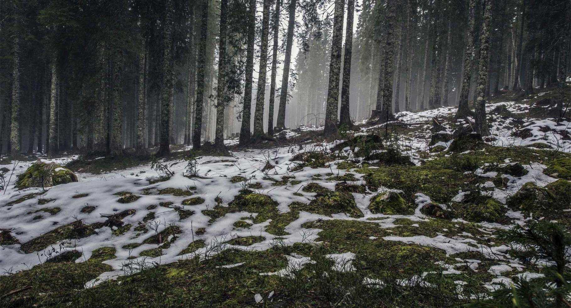 DDOS attack|广东装修购买平台