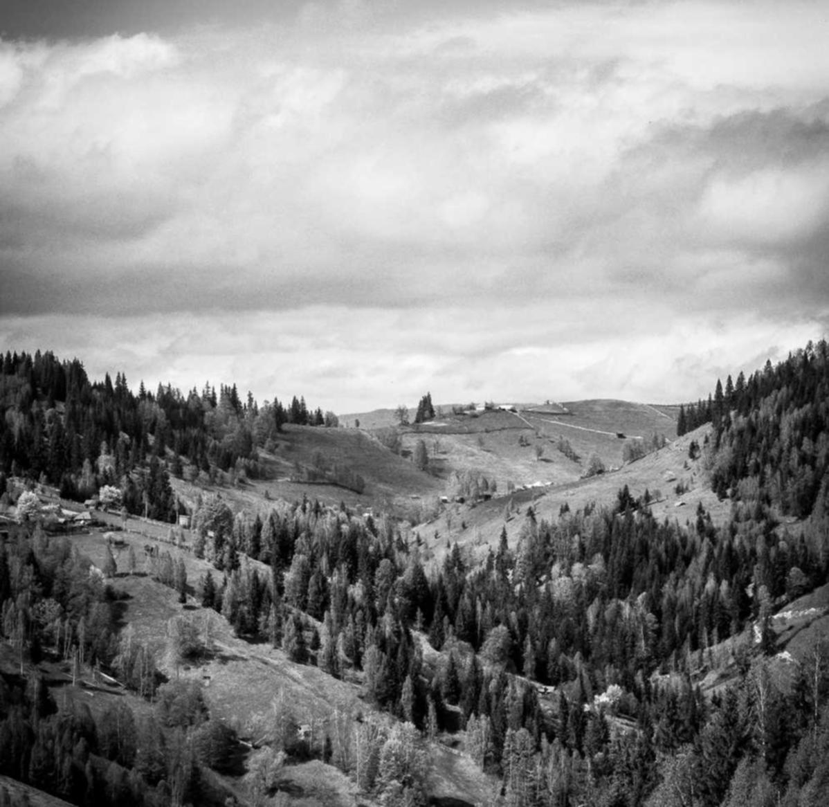 流量卡直达跨国交流之王