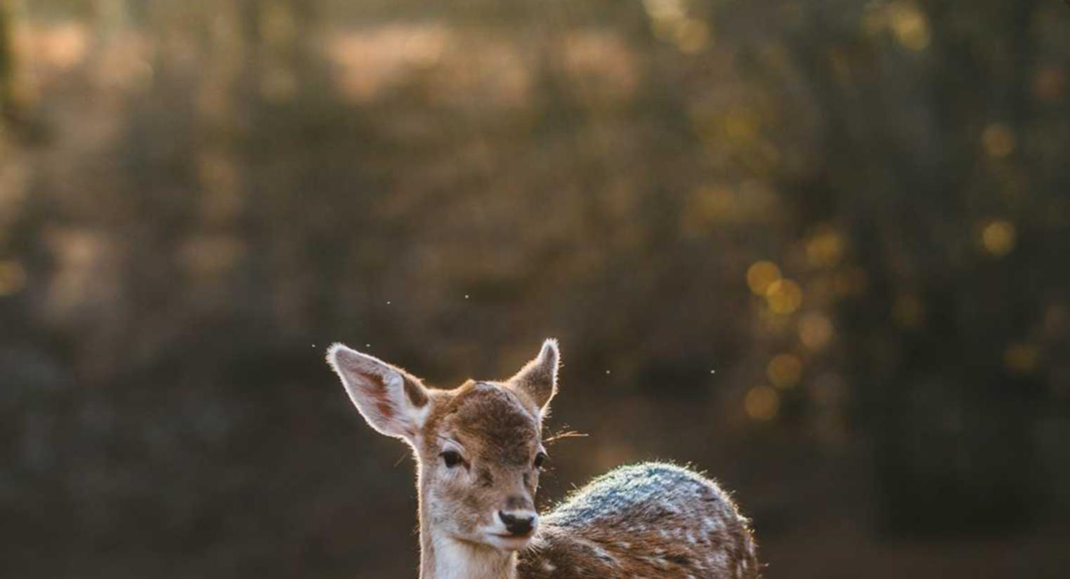 家居装修平台代理价格