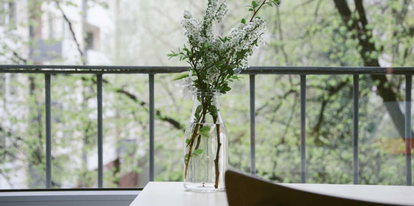 DDOS网页端源码|黑客计划:卷土重来还是彻底放弃