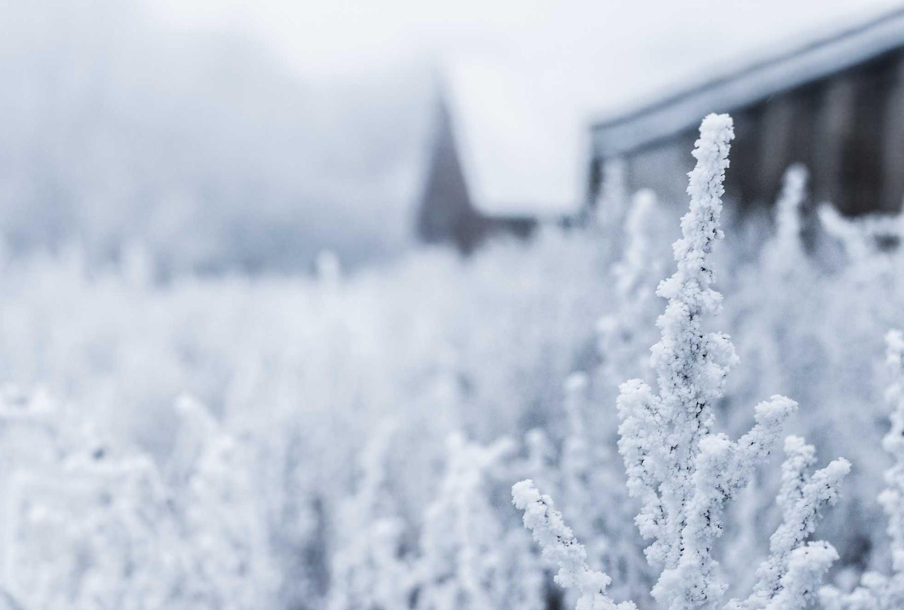 中国电信实名账号:安庆公司注册代理记账