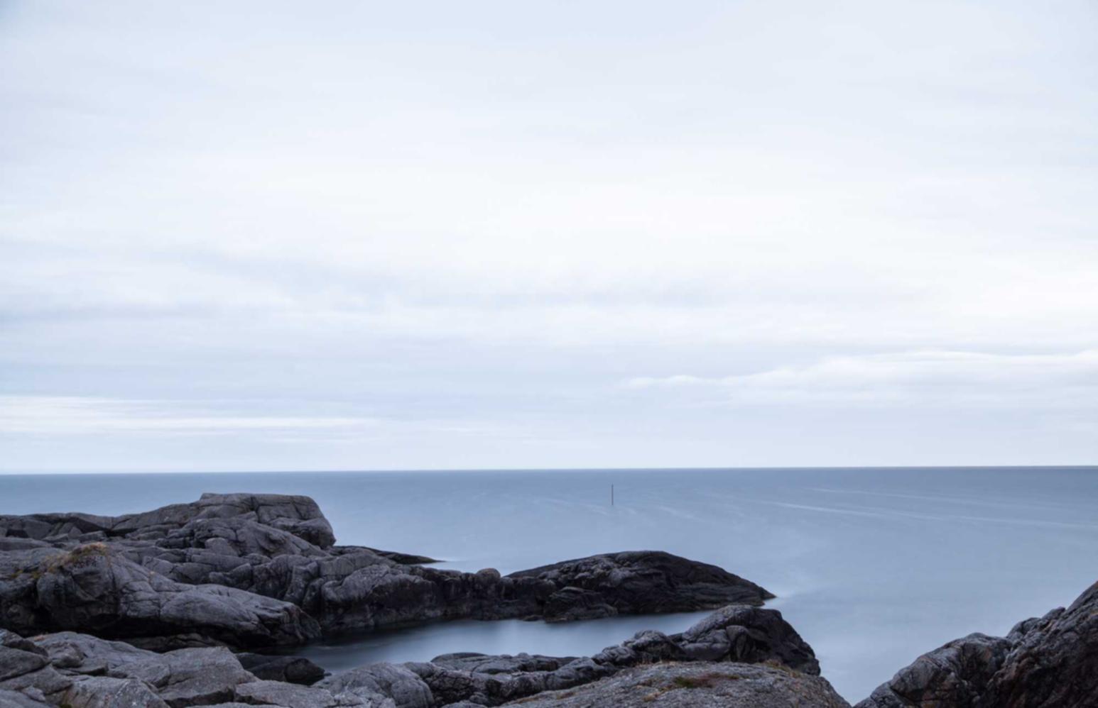 短信通知在交通运输中的应用