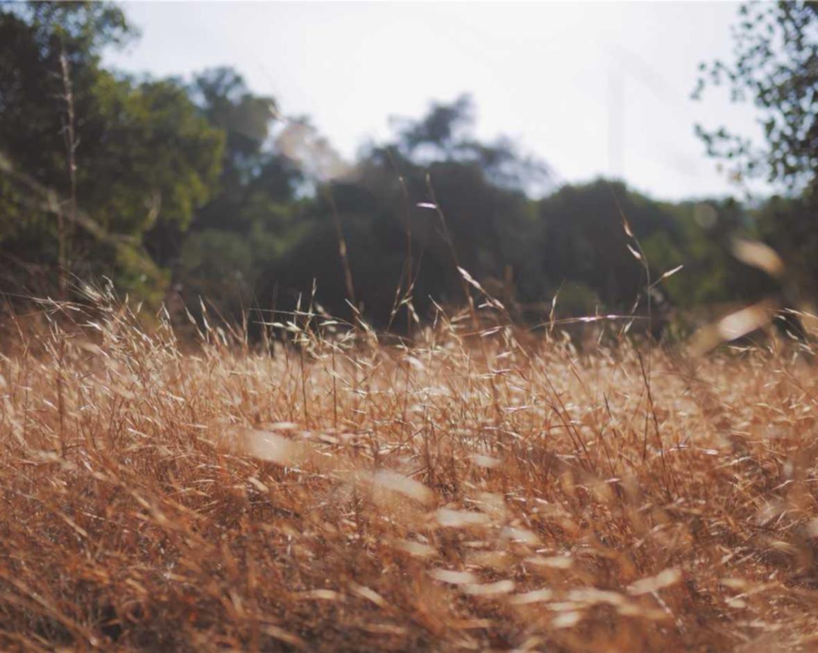 滴滴实名账号：实名账号对电子政务的推动作用。
