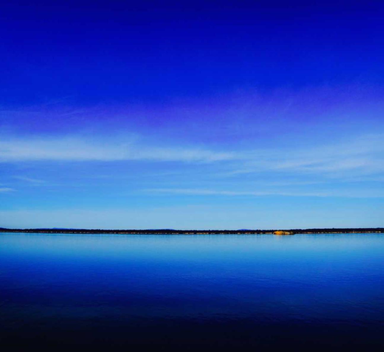 闲鱼实名账号：庐江公司注册代理