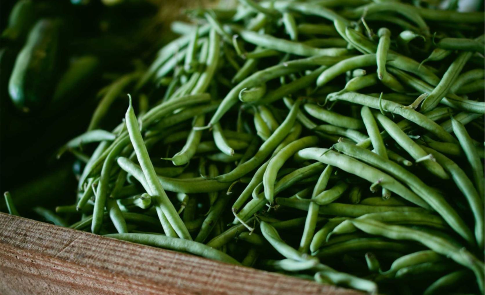 DDOS攻击|如何在黑客攻击中保护你的身份证和护照信息