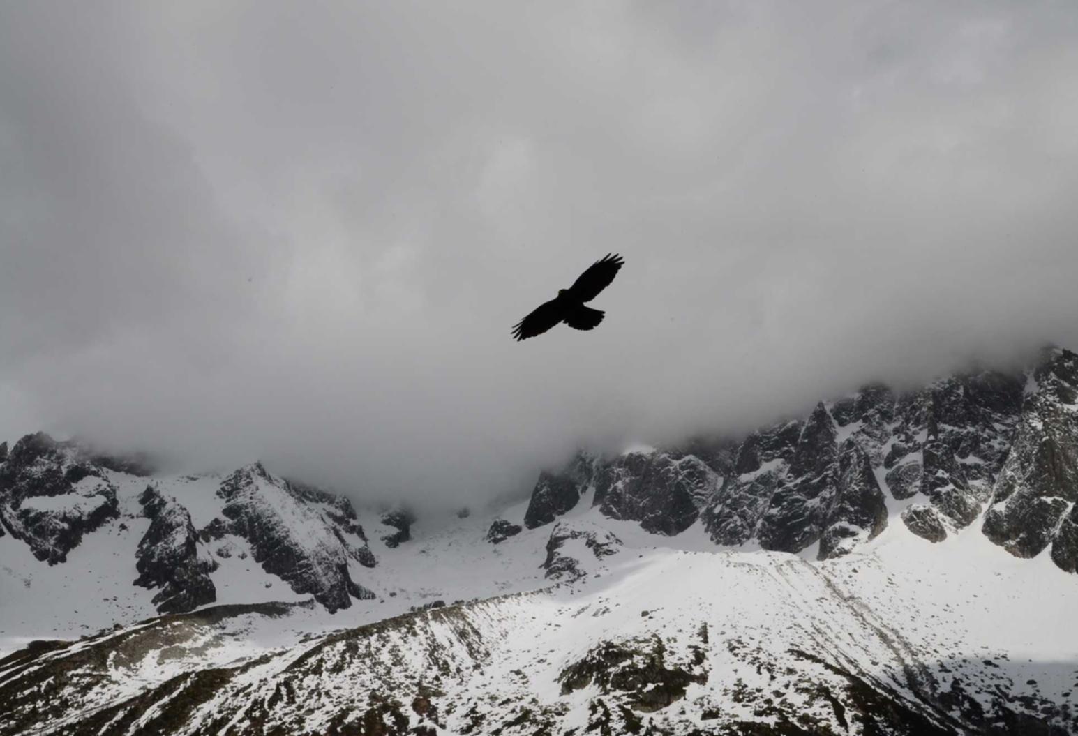 构建强大的DDoS防御体系：攻击网站的软件app