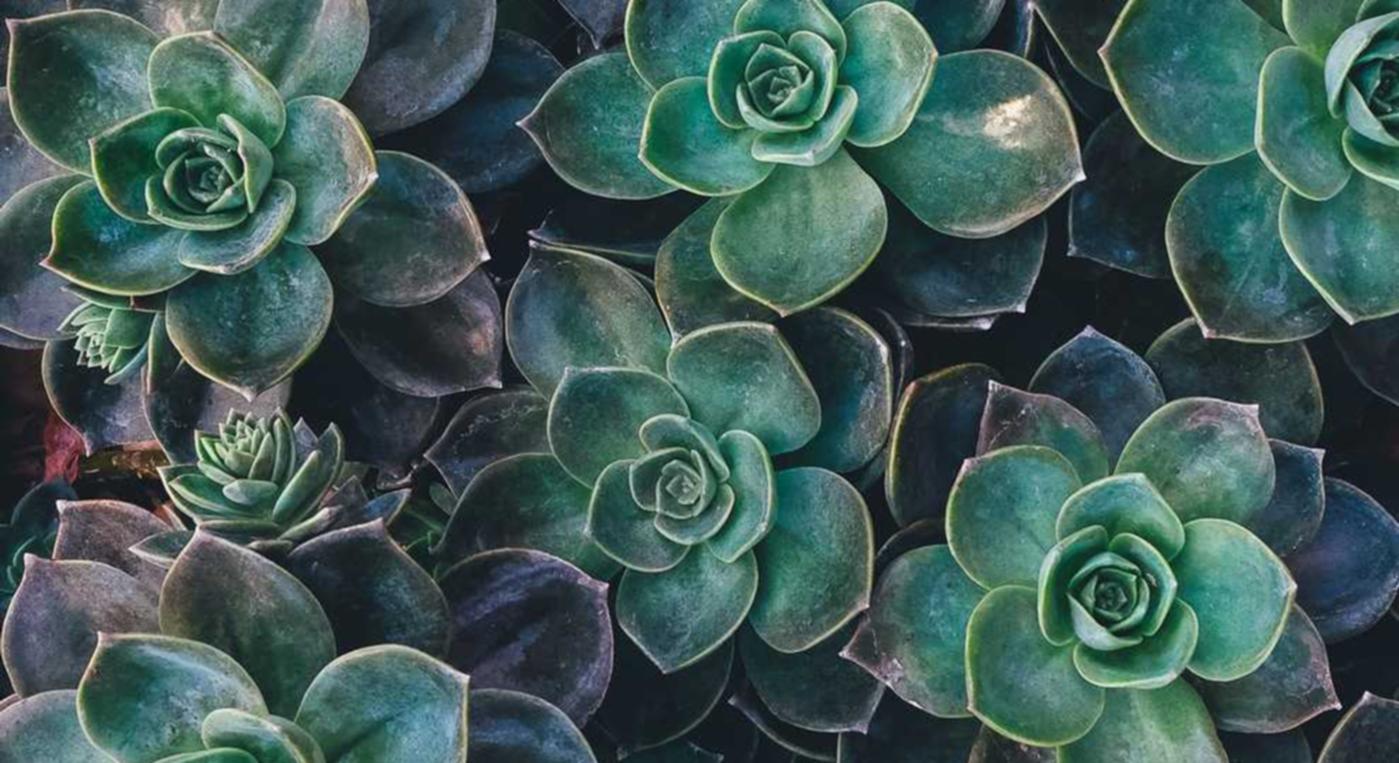 琳琅娱乐,注册|营销策略:企业合作伙伴关系的重要性