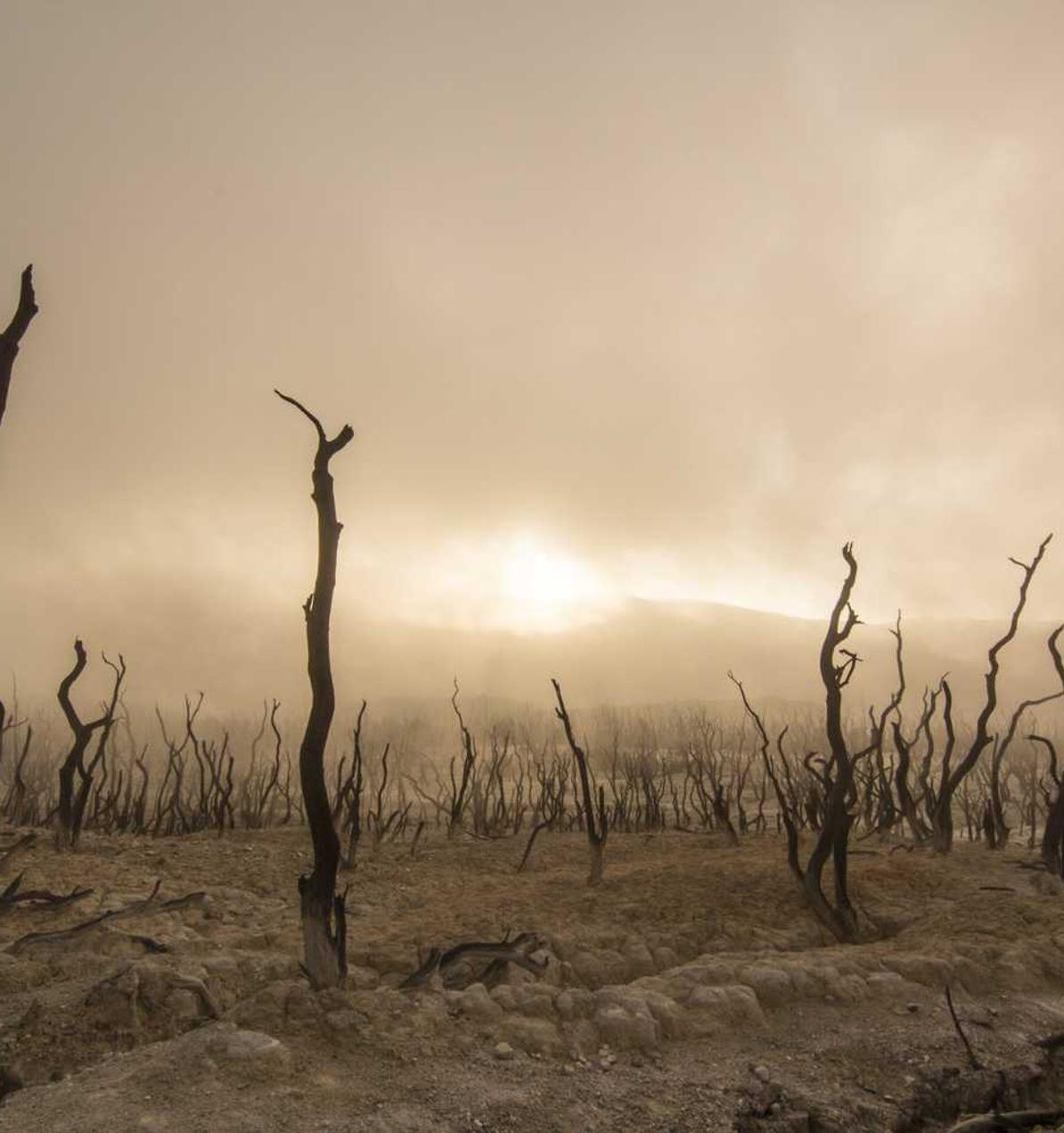 商业策划:精打细算,一步抢占市场先机