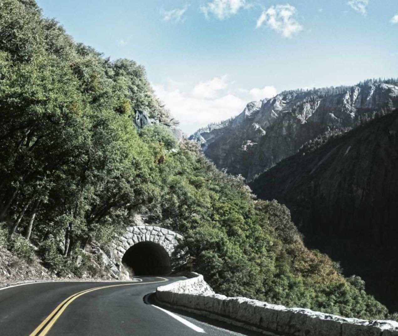 小鸟云实名账号:详情下载教程模拟app