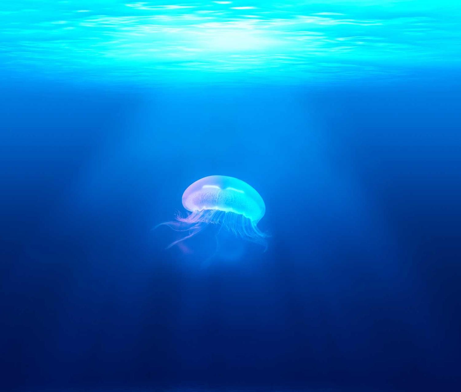 中国移动实名账号：盛世双口代理平台