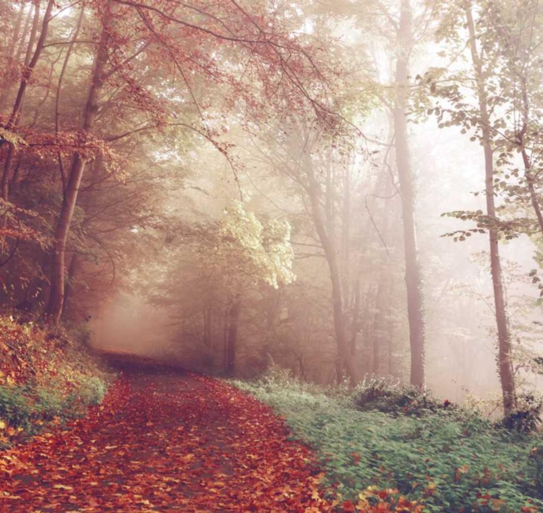 快手实名账号：奉贤代理企业注册